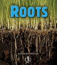 Roots