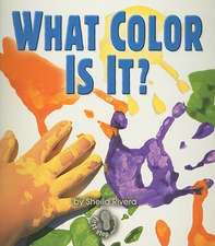 What Color Is It?