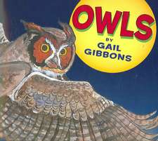 Owls (New & Updated)