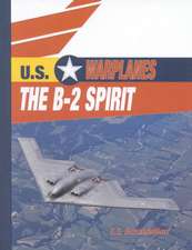 The B-2 Spirit