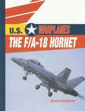 The F/A-18 Hornet