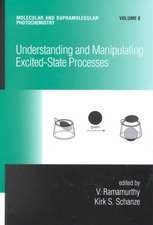 Understanding and Manipulating Excited-State Processes