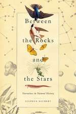 BETWEEN THE ROCKS & THE STARS