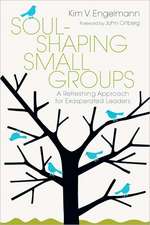 Soul-Shaping Small Groups: A Refreshing Approach for Exasperated Leaders