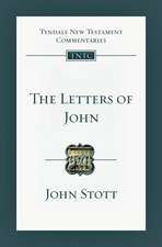 The Letters of John: An Introduction and Commentary