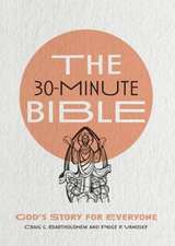 The 30–Minute Bible – God`s Story for Everyone