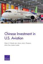 CHINESE INVESTMENT IN US AVIATPB