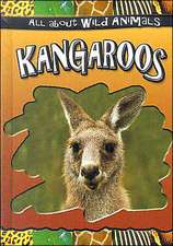 Kangaroos