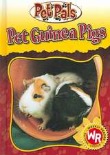 Pet Guinea Pigs