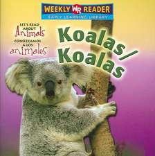 Koalas