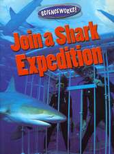 Join a Shark Expedition