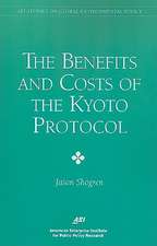 The Benefits and Costs of the Kyoto Protocol