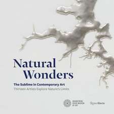 Natural Wonders: The Sublime in Contemporary Art: Thirteen Artists Explore Nature's Limits