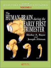 The Human Brain During the Early First Trimester: Colonization Processes and Defenses