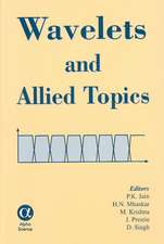 Wavelets and Allied Topics