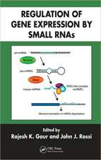 Regulation of Gene Expression by Small RNAs