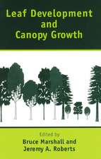 Leaf Development and Canopy Growth