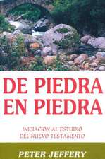 De Piedra en Piedra: Iniciacion al Estudio del Nuevo Testamento = Stepping Stones