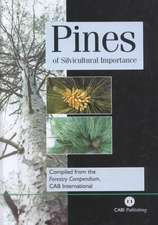 Pines of Silvicultural Importance