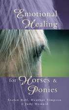 Emotional Healing for Horses & Ponies