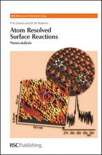 Atom Resolved Surface Reactions: Nanocatalysis