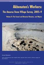 Akhenaten's Workers: The Amarna Stone Village Survey, 2005-9: Volume II: The Faunal and Botanical Remains, and Objects