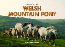 Hallam, F: Spirit of the Welsh Mountain Pony