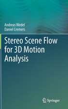 Stereo Scene Flow for 3D Motion Analysis