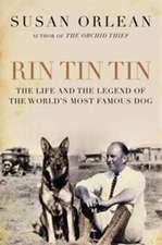 RIN TIN TIN AIR EXP