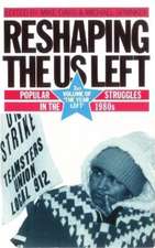 Reshaping the US Left: Popular Struggles in the 1980s