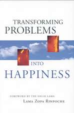 Transforming Problems Into Happiness