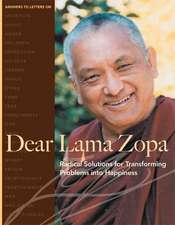 Dear Lama Zopa: Radical Solutions for Transforming Problems Into Happiness