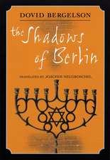 Shadows of Berlin: The Berlin Stories of Dovid Bergelson