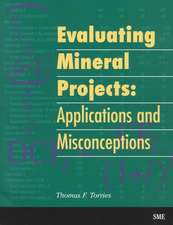 Evaluating Mineral Projects: Applications and Misconceptions