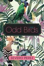 Odd Birds