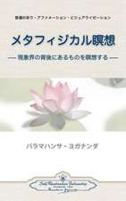 Metaphysical Meditations (Japanese)