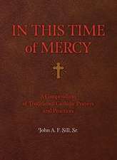 In This Time of Mercy (Paperback)