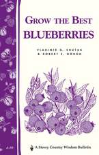 Grow the Best Blueberries