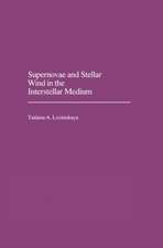 Supernovae and Stellar Wind in the Interstellar Medium