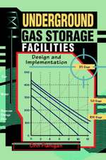 Underground Gas Storage Facilities: Design and Implementation