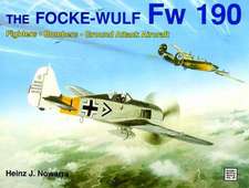 The Focke-Wulf FW 190