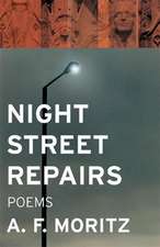 Night Street Repairs: Poems