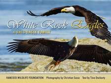 White Rock Eagles: a Bald Eagle family