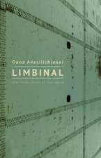 Limbinal: Rose and the Archipelago of Shifting Memories