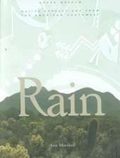 Rain: Native Expressions from the American Southwest: Native Expressions from the American Southwest