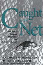 Caught in the Net: The Conflict Between Shrimpers and Conservationists