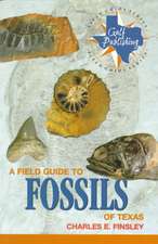 A Field Guide to Fossils of Texas