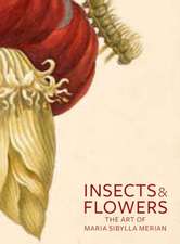 Insects and Flowers: The Art of Maria Sibylla Merian