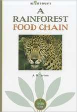 A Rainforest Food Chain