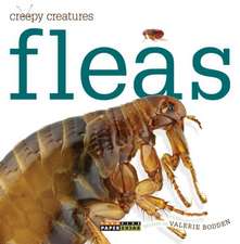 Fleas